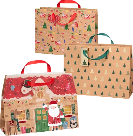 Kesa za poklone maxi PROFISSIMO 1kom (više vrsta)