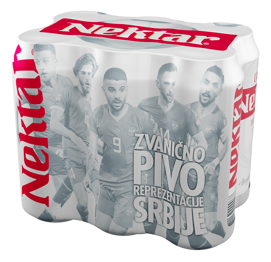 Pivo NEKTAR 6x0,5l